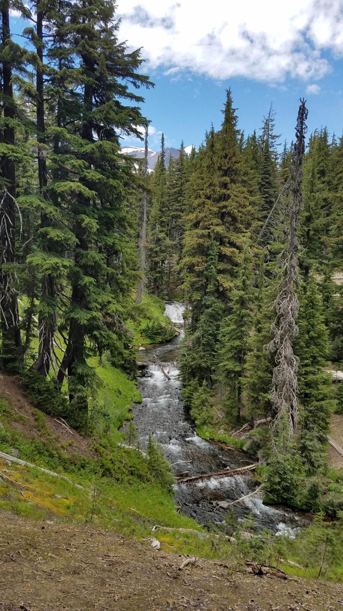 Mt. Bachelor & Sun River Get Away * Bend